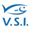 VSI