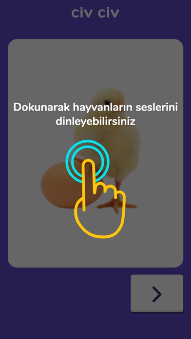 Hayvanların Sesleri screenshot 3