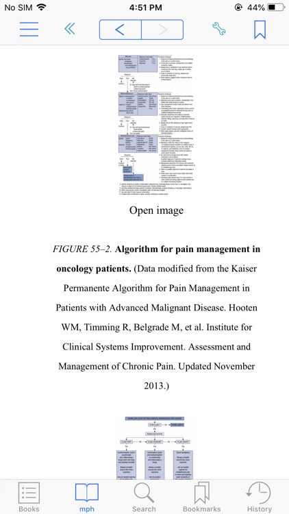 Pharmacotherapy Handbook, 10/E screenshot-5