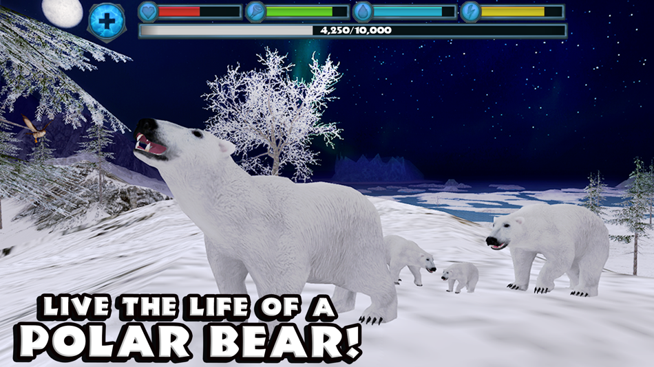 Polar Bear Simulator - 1.1 - (iOS)