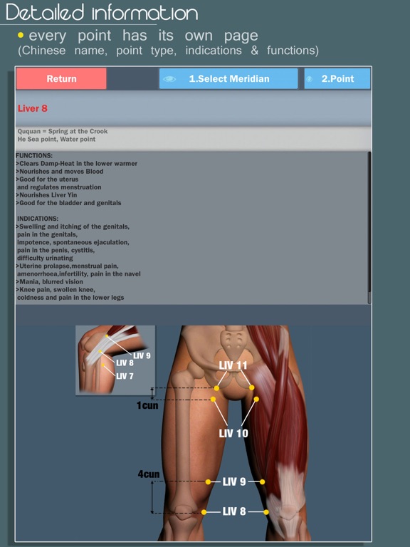 Screenshot #4 pour Easy Acupuncture 3D -FULL