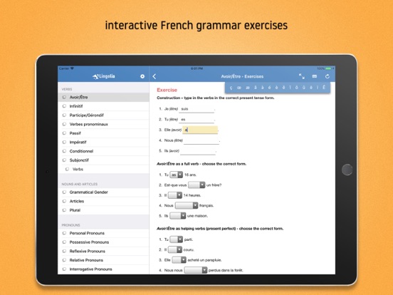 Lingolia French Grammar app screenshot 3