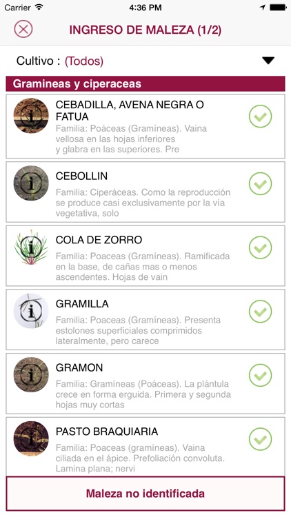 OKT recorridas screenshot-4