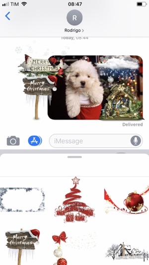 Christmas Studio - New Year(圖5)-速報App
