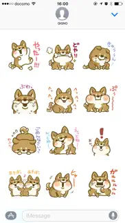 japanese shiba-inu with you iphone screenshot 4