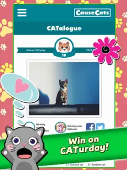 CauseCats screenshot 6