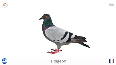 Screenshot #3 pour Bébé Learn - GREC