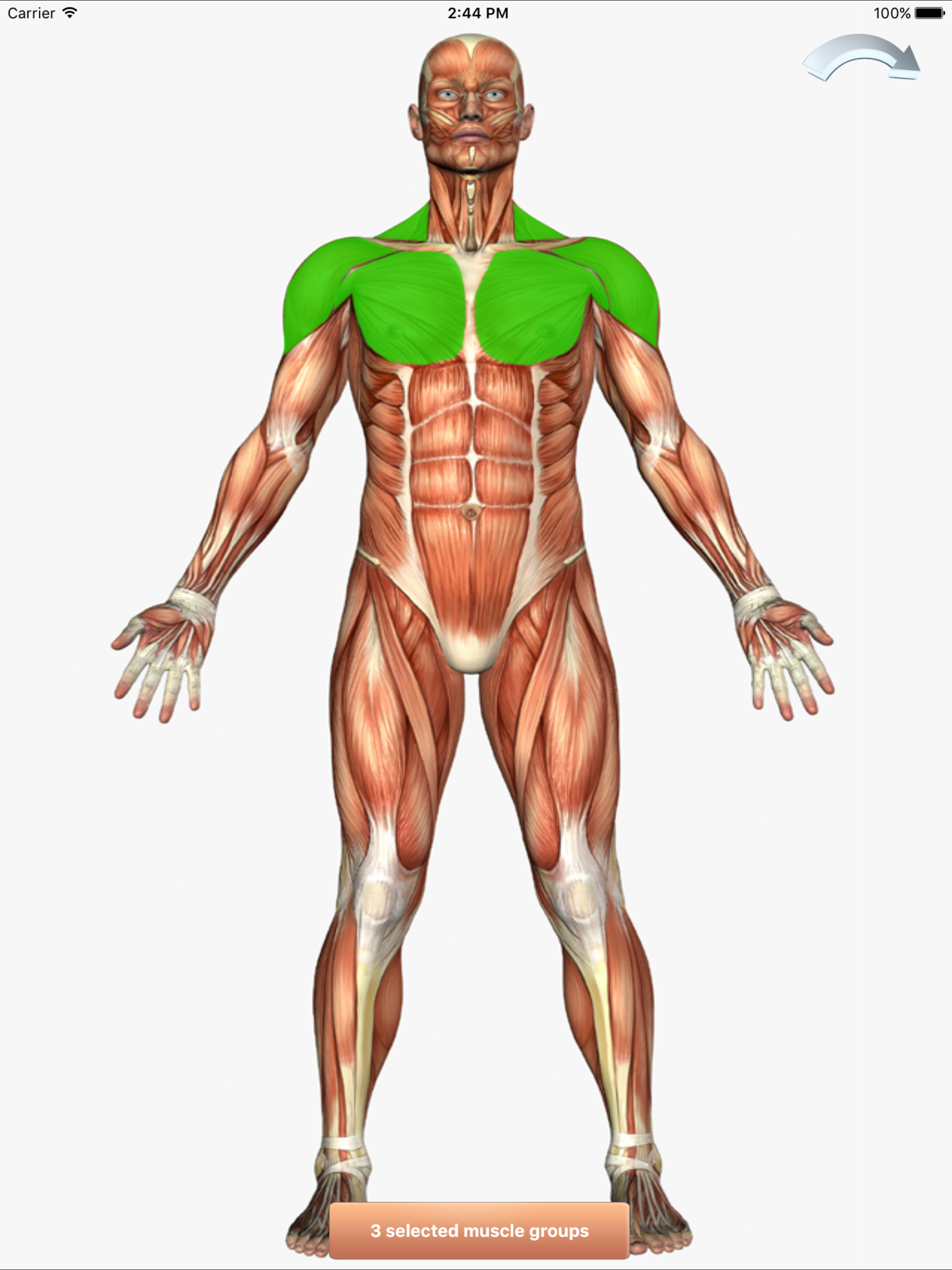 101+ Fitness Exercises