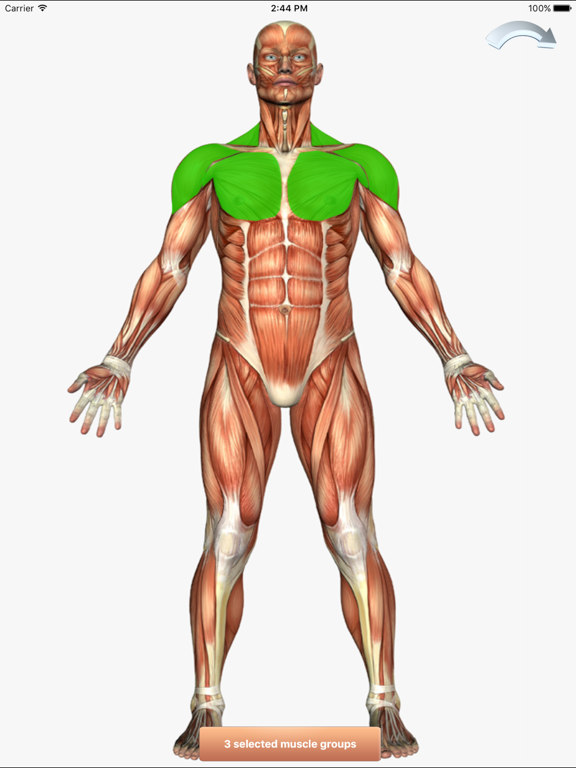 101+ Fitness Exercises