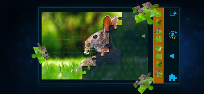 Jigsaw Puzzles Classic