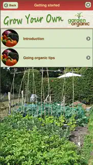 growing organic vegetables problems & solutions and troubleshooting guide - 3