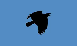 Flappy TV app icon