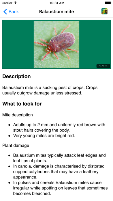 Screenshot #3 pour MyCrop Canola