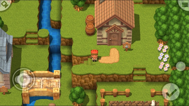 Dragon and Hero 3D RPG screenshot-4