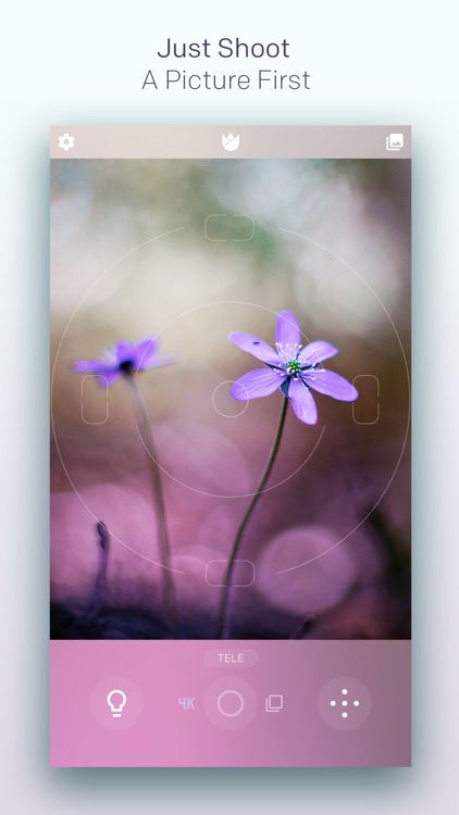 Live Focus screenshot-0