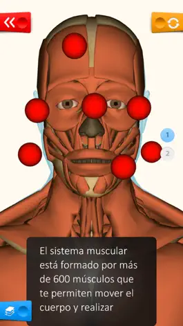 Game screenshot Educa Explorer Cuerpo Humano. hack