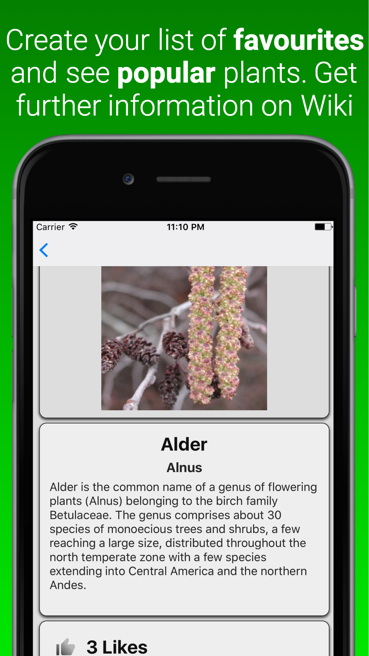 House Plant Dictionary