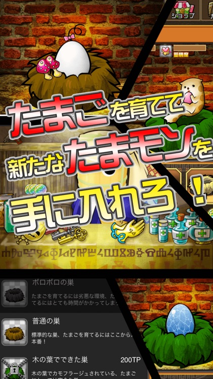 育成ゲーム たまポンQUEST screenshot-3