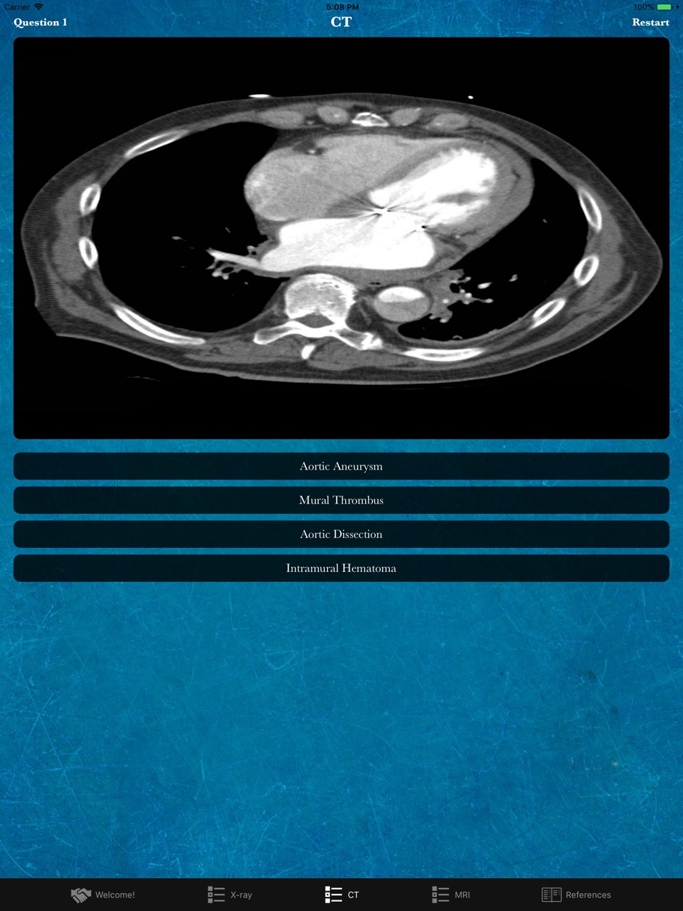 iPad screenshot