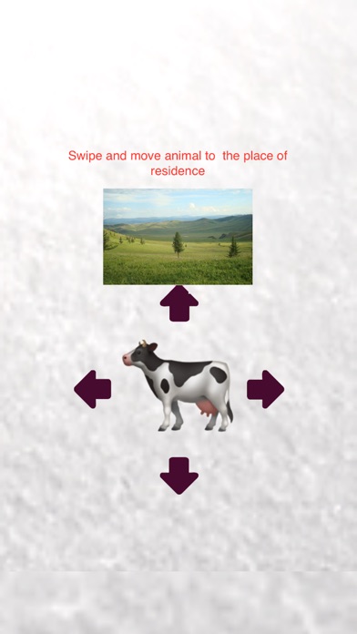 Move Animals screenshot 3