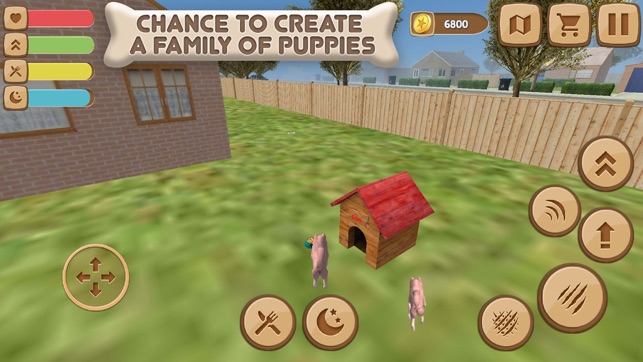 Pomeranian Dog City Wild Life(圖3)-速報App