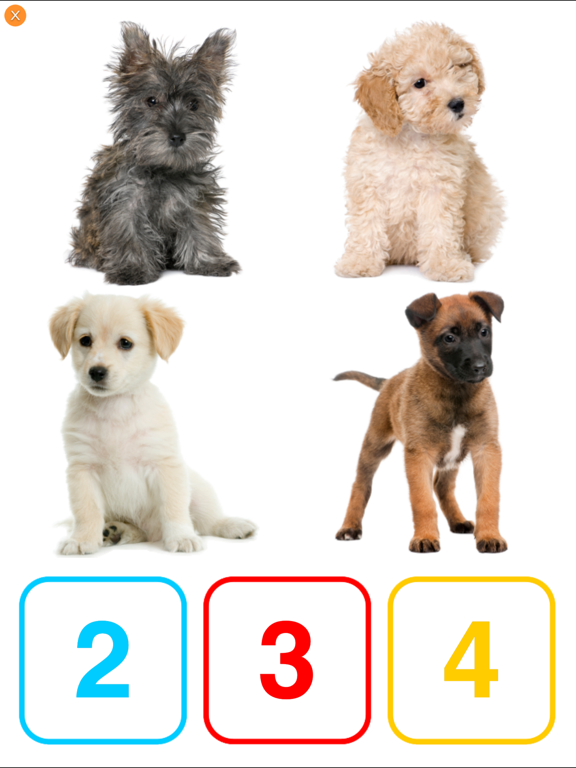 Screenshot #6 pour 10 Chiots