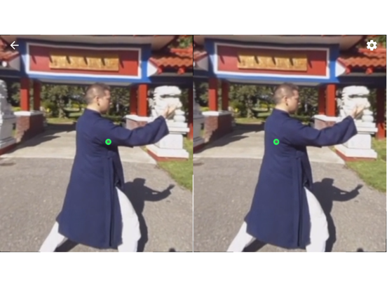 Tai Chi Trainer XR iPad screenshot 4 - Health & Fitness app