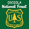 Osceola National Forest