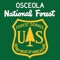 Osceola National Forest