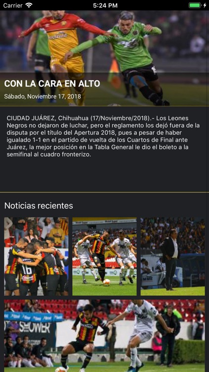 Leones Negros UDG