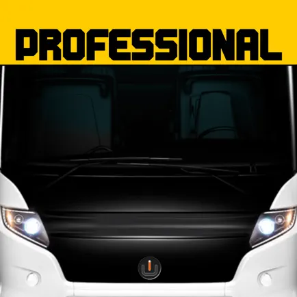 Anadolu Bus Simulator Cheats