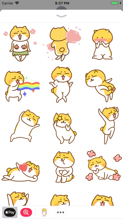 Humor Kitty Stickers