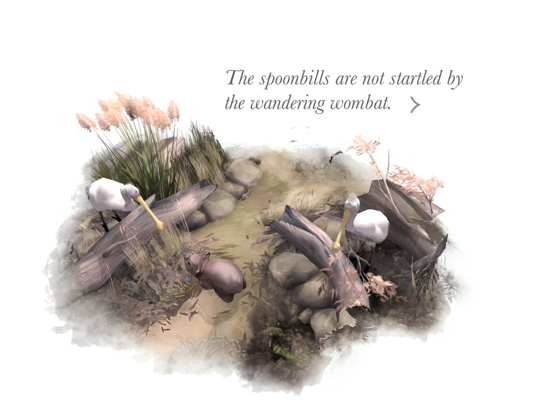 Paperbark iPad app afbeelding 1