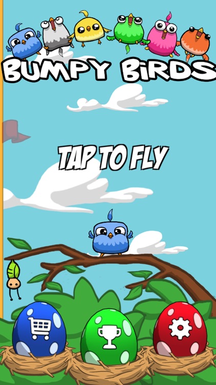 Bumpy Birds