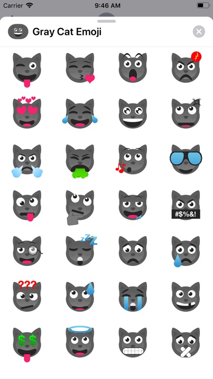 Gray Cat