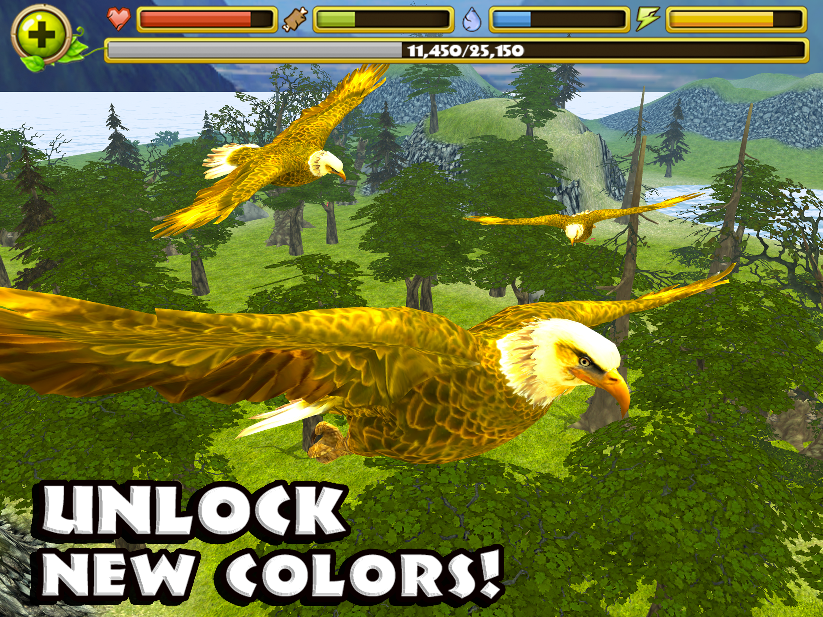 Eagle Simulator