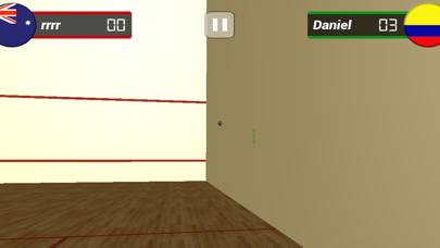 Extreme Squash Sports Championship screenshot 2