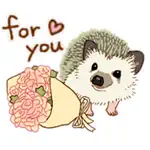 Shy And Cute Hedgehogs Sticker App Contact