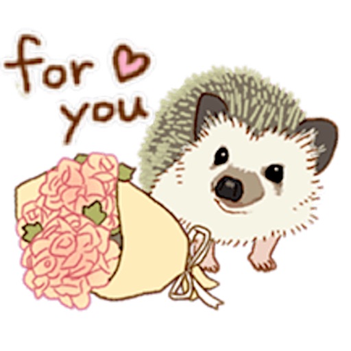 Shy And Cute Hedgehogs Sticker icon