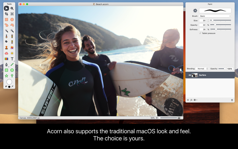 Acorn 6 Image Editor thumbnail 2