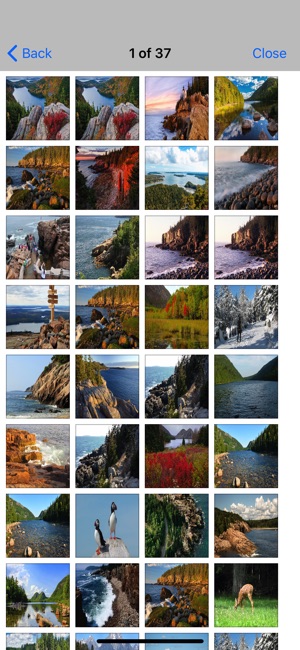 Acadia National Park -Great(圖5)-速報App