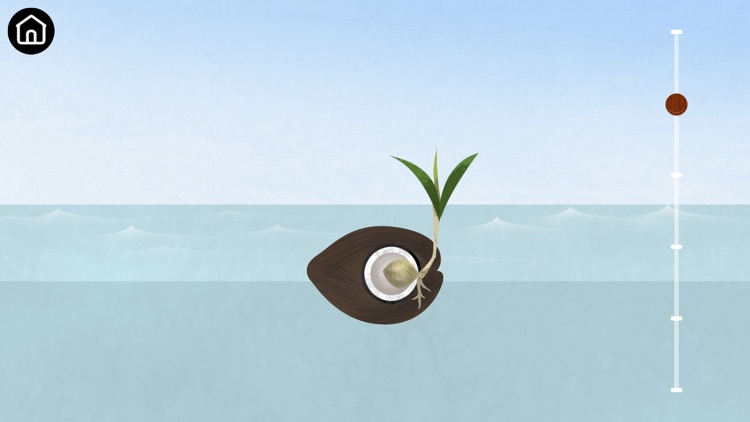 Bloom by Megalearn screenshot-3