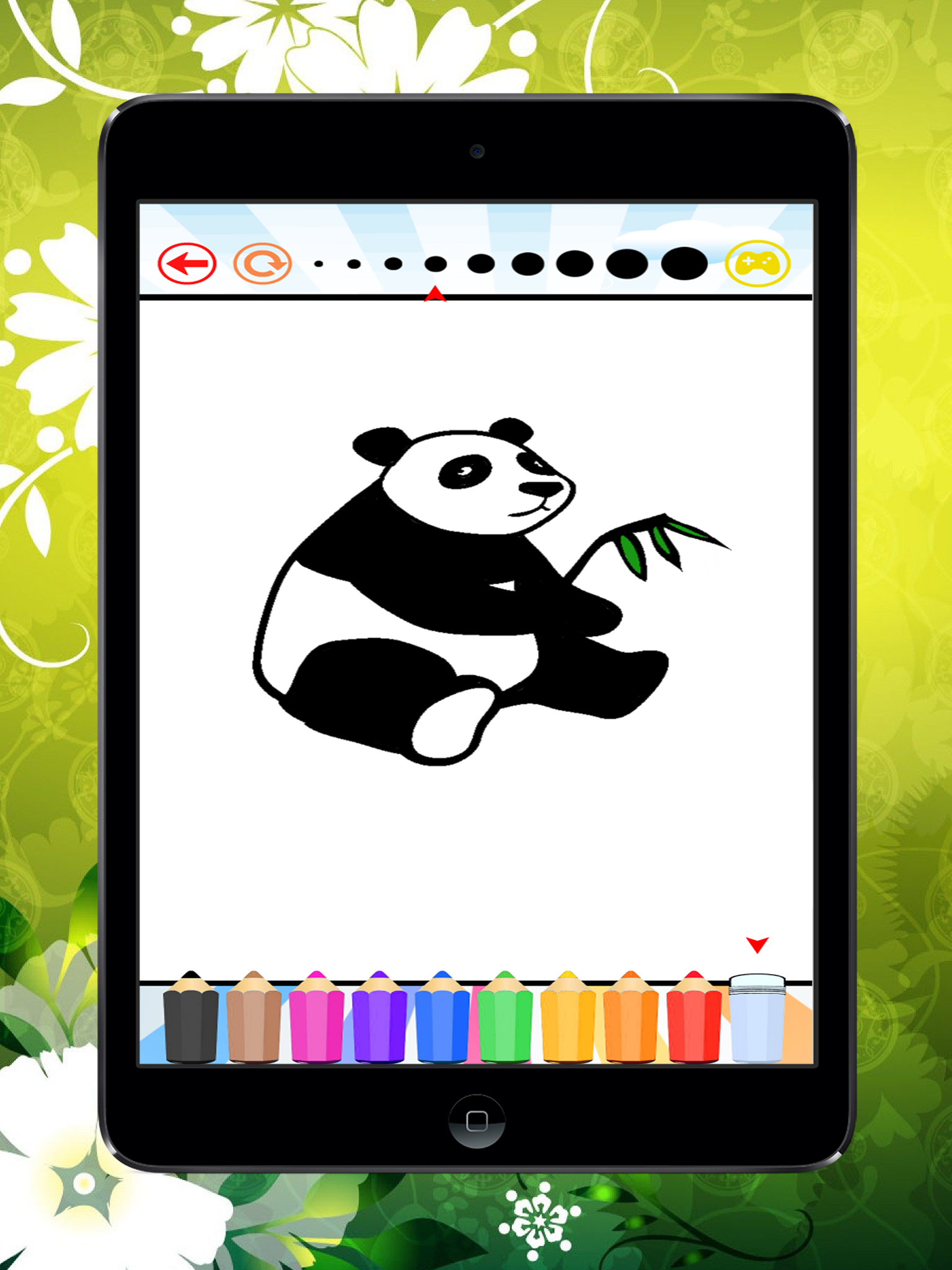 Panda Bear Coloring Book: Learn to Color a Panda, Koala and Polar Bear, Free Games for Children screenshot 5