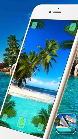 熱帯の島の壁紙 – 美しい夏のビーチとヤシの木の写真のおすすめ画像3