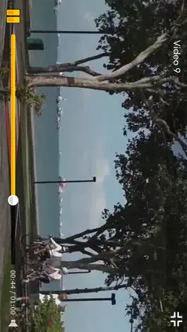 Game screenshot Lisan (Men) hack