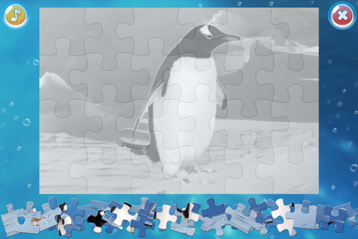 Arctic Animals Puzzle