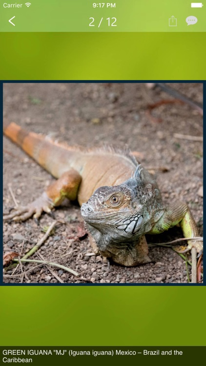 Victoria Butterfly Gardens