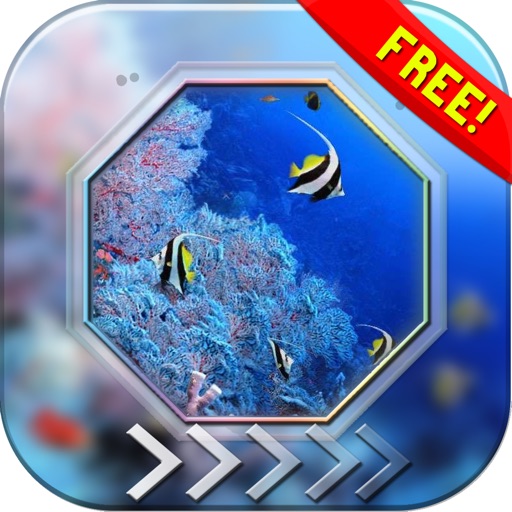 BlurLock – Ocean : Blur Lock Screen Under Water World Photo Maker Wallpaper For Free icon