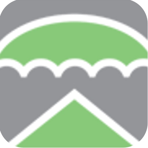Carrier Financial & Insurance Services