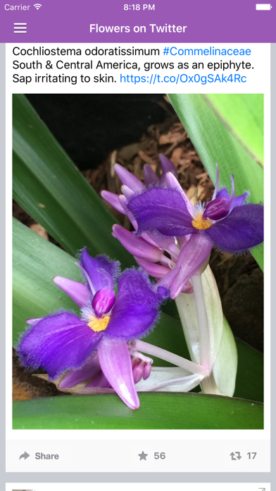 Screenshot #3 pour Flowers Daily